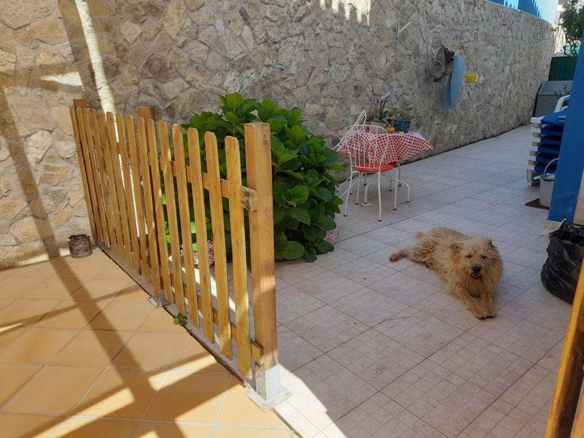 Villa Alegria Ericeira Dış mekan fotoğraf